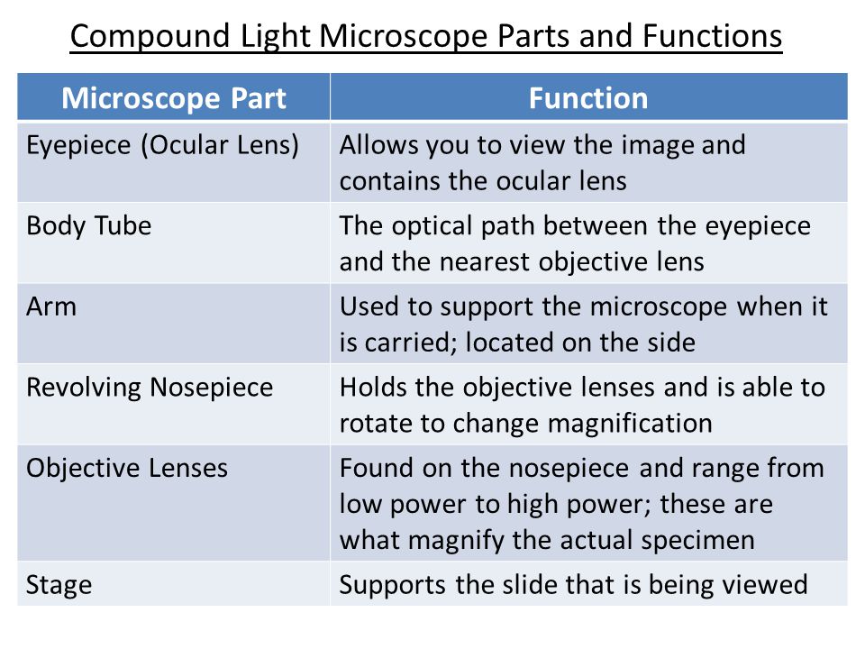 Ultimate Quiz On Microscope Parts And Functions